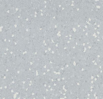 Линолеум Forbo Sphera Sd 550008 silver grey фото 1 | FLOORDEALER